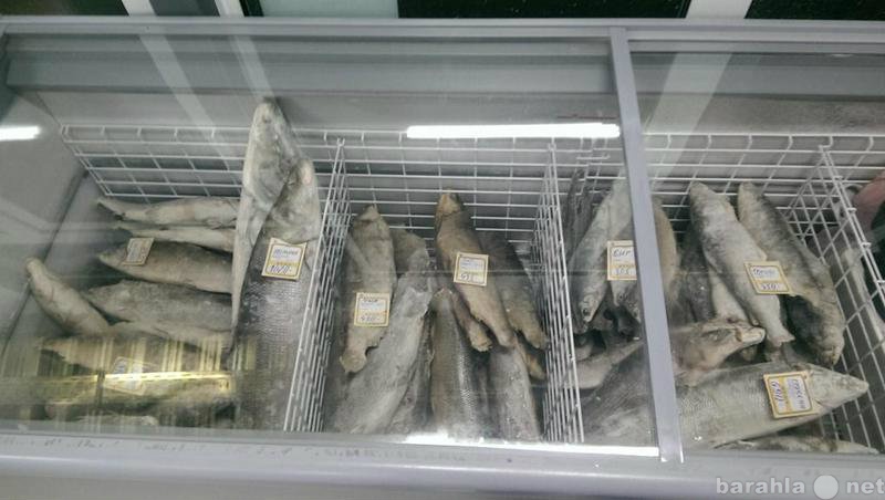 Продам: Опт Розница Рыба в наличии в Москве Свеж