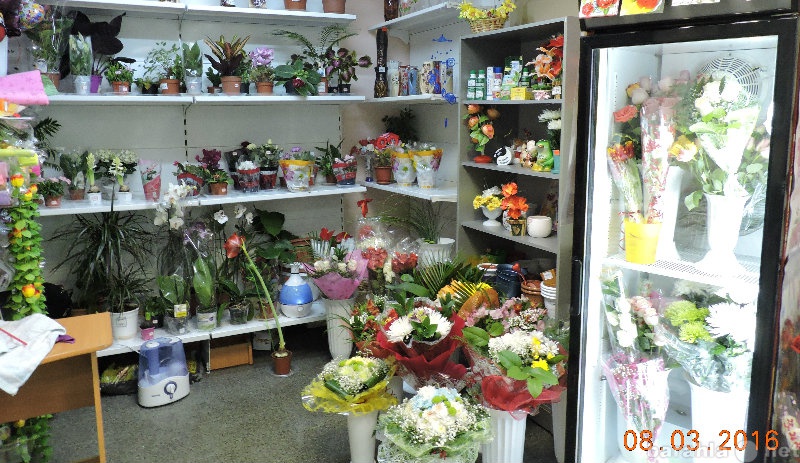 Продам: магазин цветов