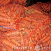 Продам: Морковь оптом и мелким оптом