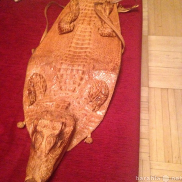 Продам: сумка из крокодила