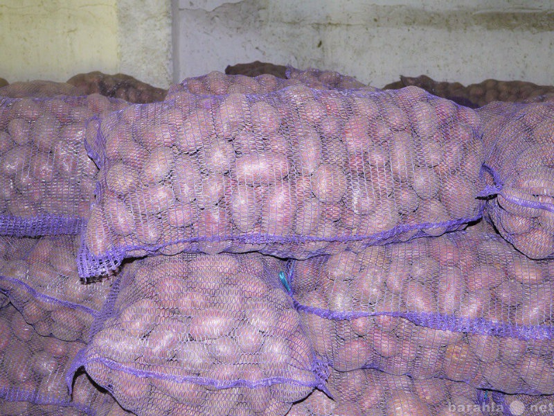 Продам: Картофель оптом с доставкой по РФ