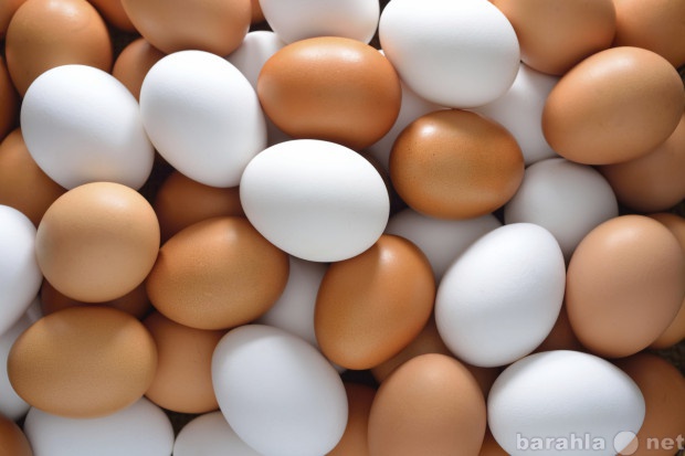 Продам: Бесплатная доставка яйца
