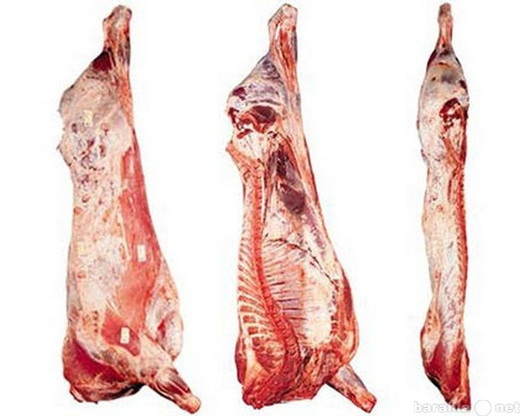 Продам: Реализуем мясо говядины на кости в четве