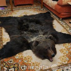 Продам: ковры и чучела из шкур хищных животных