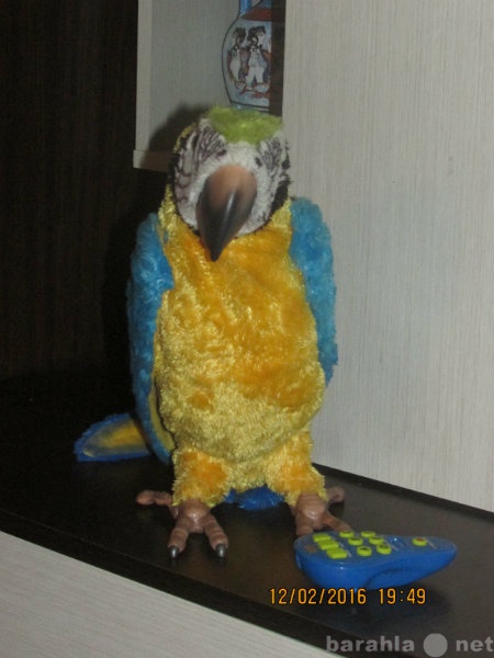 Продам: интерактивный попугай Кеша