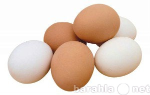 Продам: Куриное яйцо