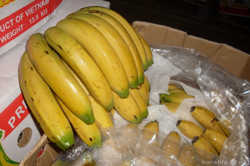 Продам: Бананы из Вьетнама