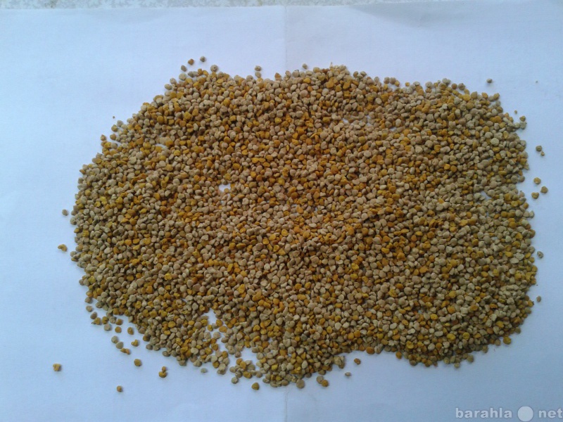 Продам: Алтайская цветочная пыльца.урожай 2020г