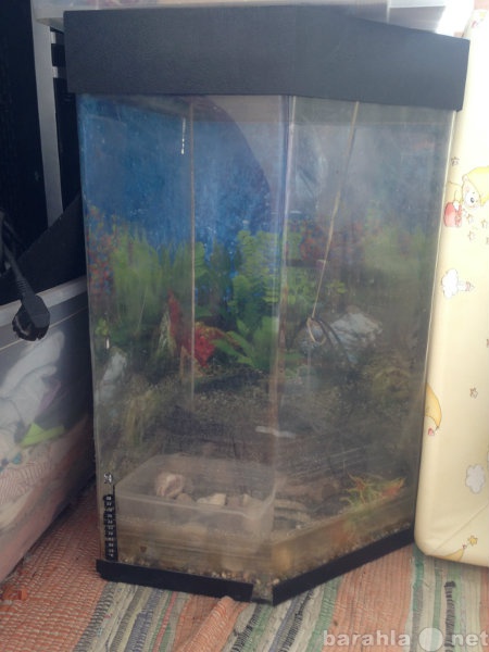 Продам: Угловой аквариум