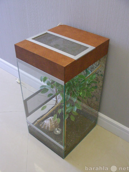 Продам: Террариум вертикальный из стекла