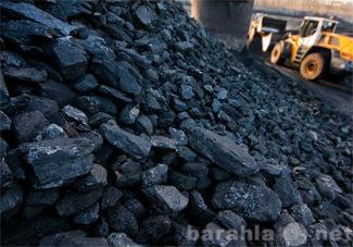 Куплю: Продажа каменного угля