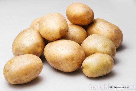 Продам: Картофель 3,5+, некондиция, нестандарт