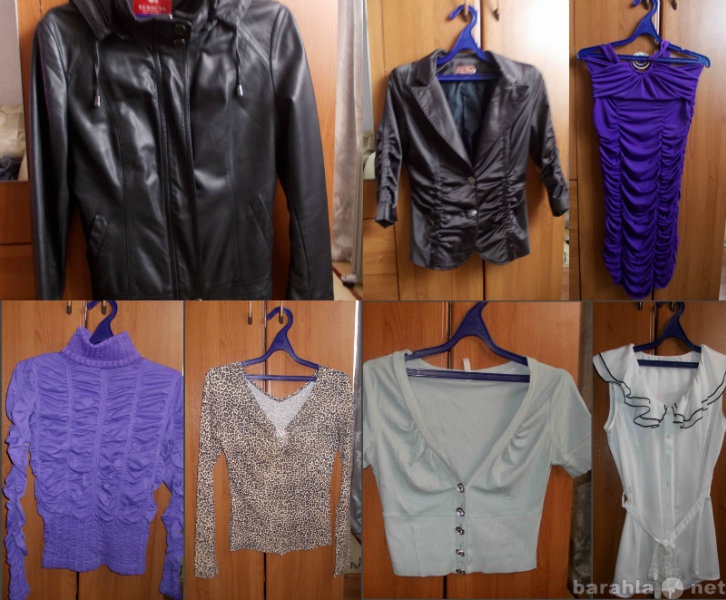 Продам: Куртка, пиджак, платье, блузки, болеро