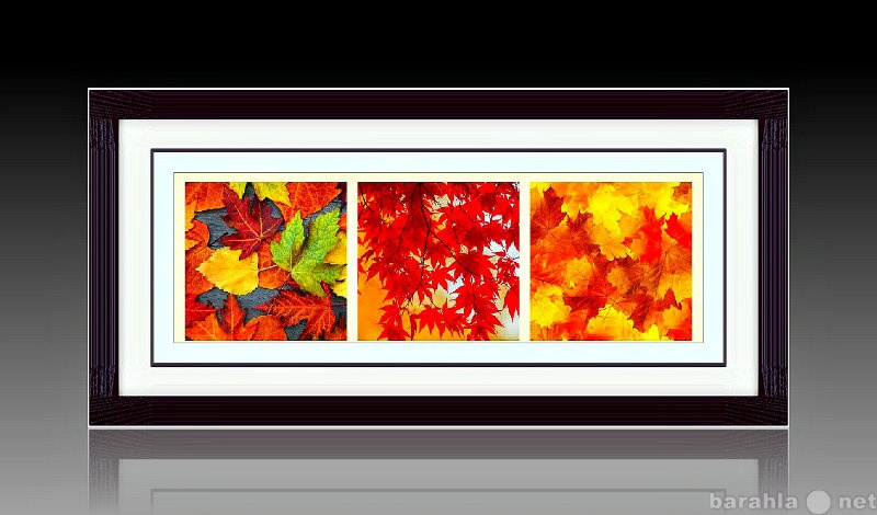 Продам: Фотоколлаж "Осенняя палитра красок