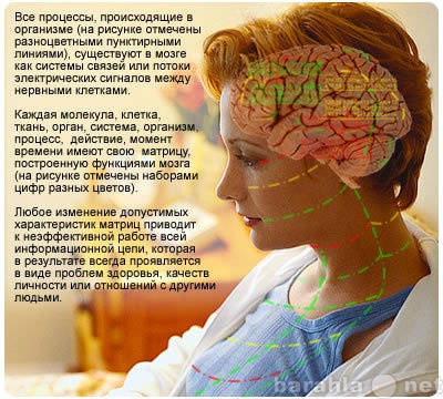 Продам: Система восстановительной медицины