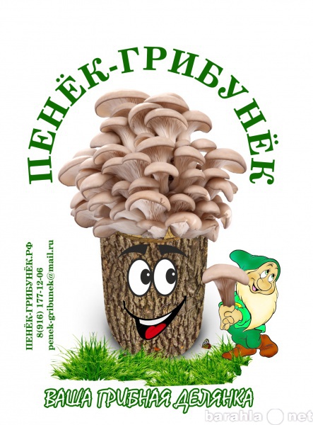 Продам: ПенекГрибунек-это грибы на вашем участке