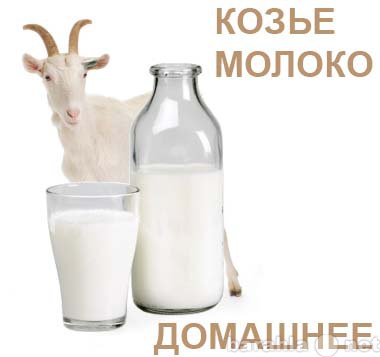 Продам: Козье молоко домашнее