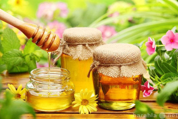 Продам: Натуральный мёд