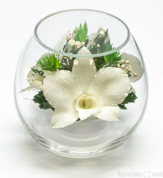 Продам: Неувядающие цветы в стекле