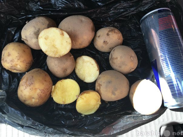 Продам: Продажа картофеля белых и красных сортов