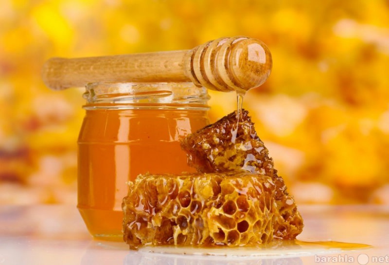 Продам: Натуральный мёд со своей пасеки