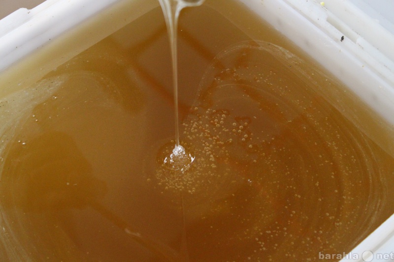 Продам: Натуральный мёд оптом (в куботейнерах)