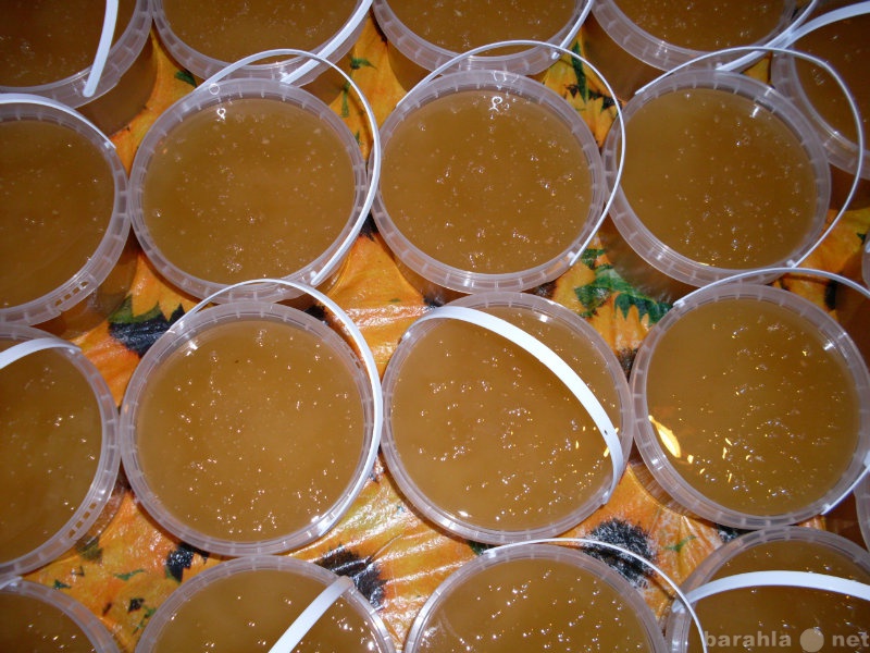 Продам: Мёд пчелиный натуральный 1кг. доставка