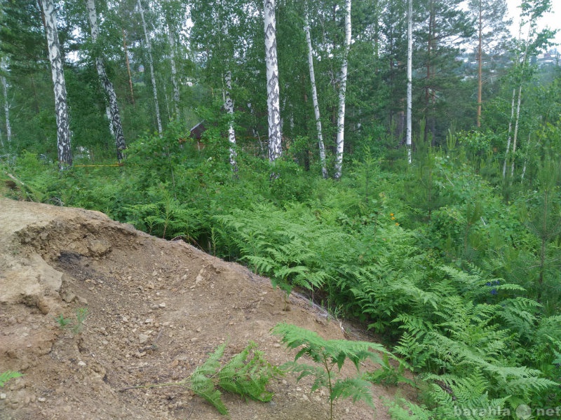 Приму в дар: грунт мкр.Изумрудный (Хрустальный)