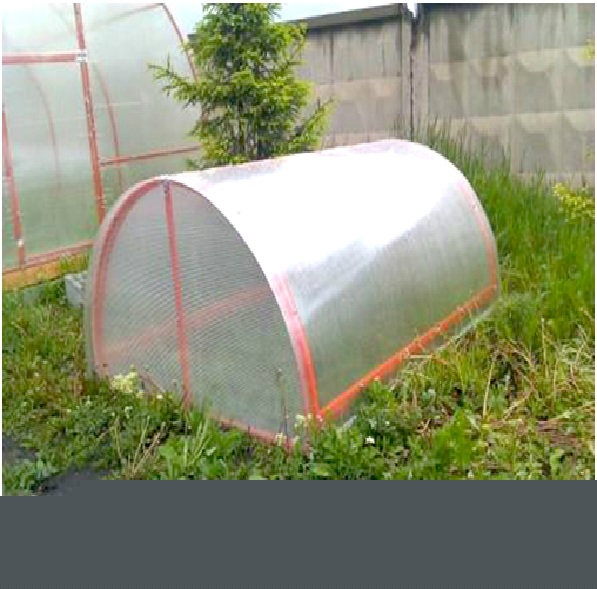 Продам: Парник
