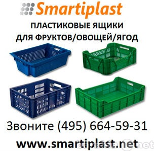 Продам: Пластиковые ящики оптом для фруктов