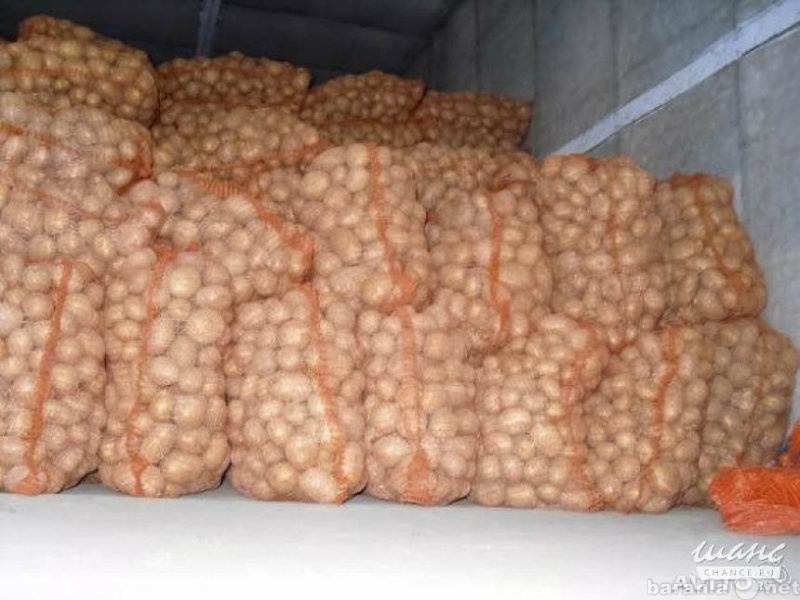 Продам: картофель от производителя