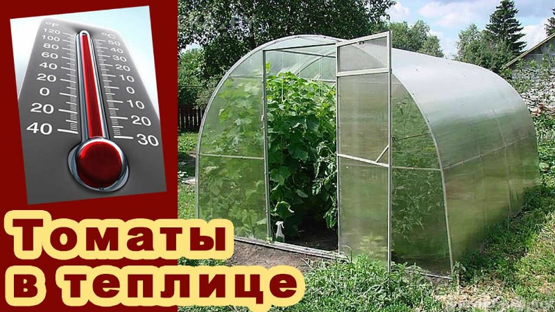 Продам: Теплицы из поликорбаната