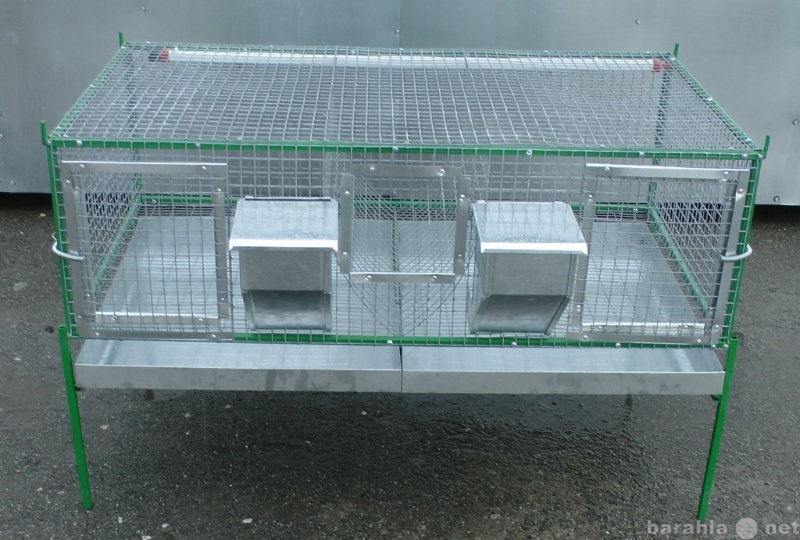 Продам: Клетка для кроликов откормочная, 12-15шт