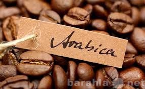 Продам: Кофе свежеобжаренный оптом из Камеруна