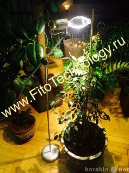 Продам: Фитосветильники и лампы для растений
