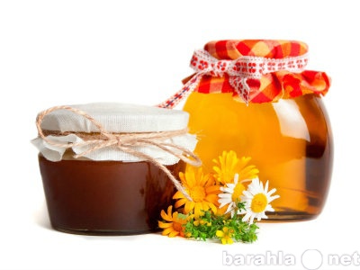 Продам: Луговой мёд