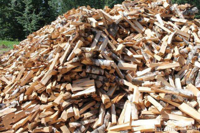 Продам: Много дров (доставка)