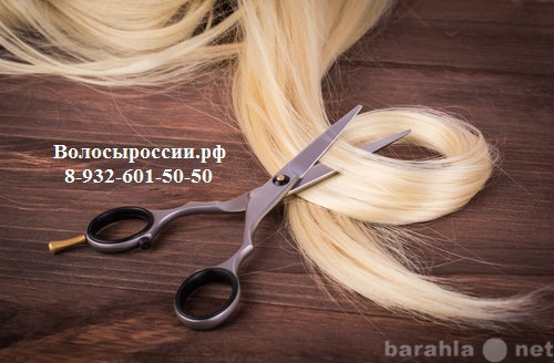 Куплю: Покупаем волосы в Екатеринбурге! Дорого!