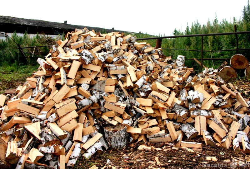 Продам: Колотые березовые дрова от заготовителя