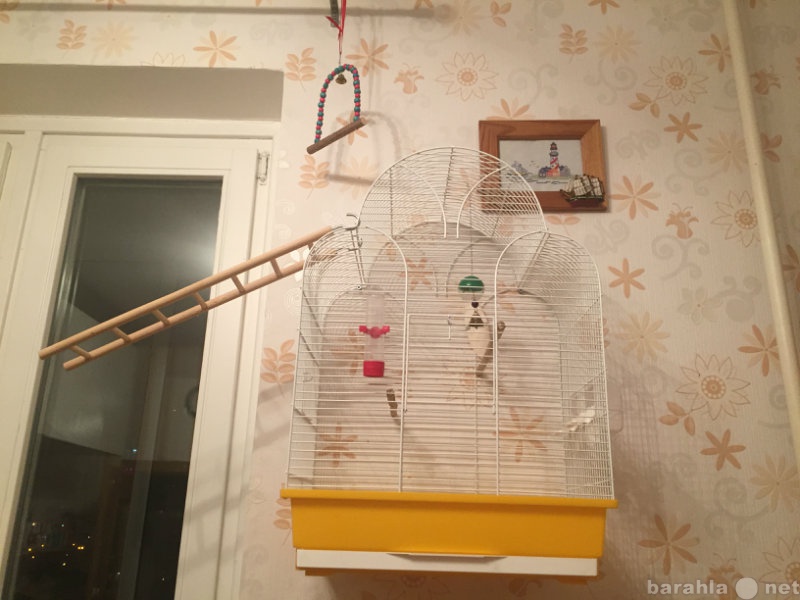 Продам: клетка для попугая с оборудованием