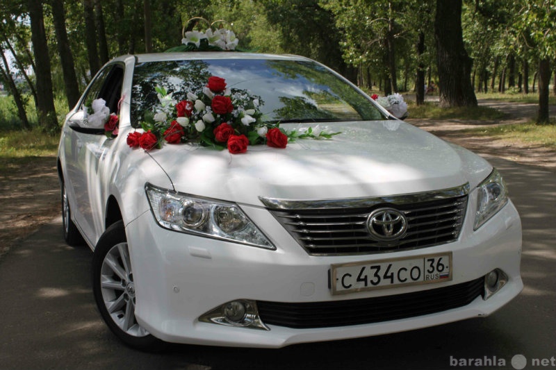 Предложение: Авто на свадьбу - белая Тойота Камри!!!