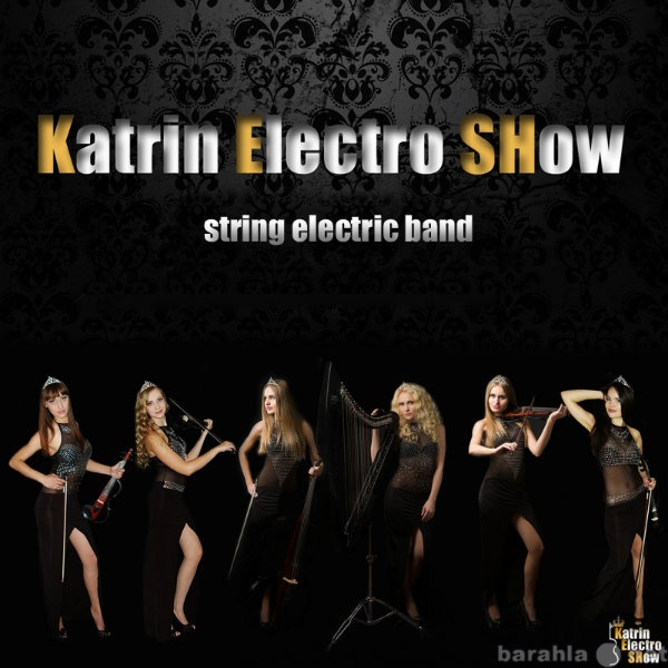 Предложение: Katrin Electro SHow-музыканты