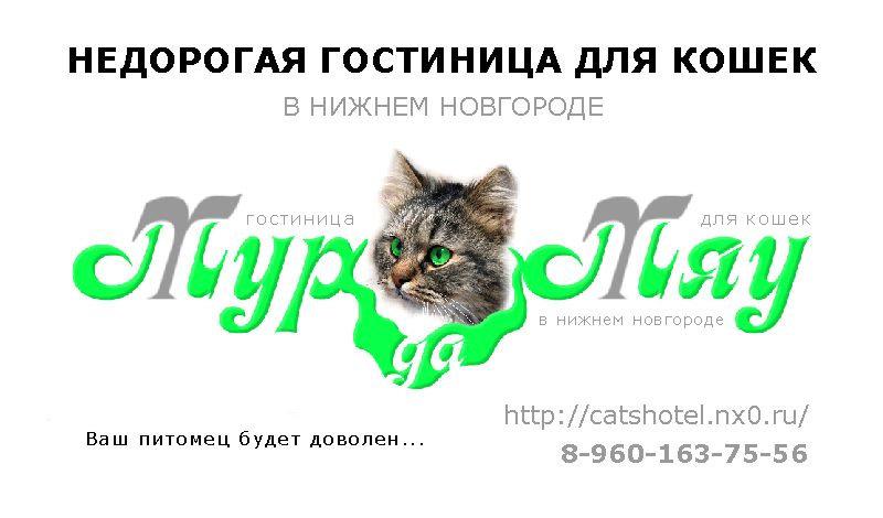 Предложение: Гостиница для кошек 