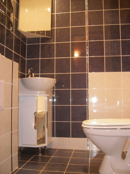 Предложение: Ремонт ванных комнат и сан. узлов