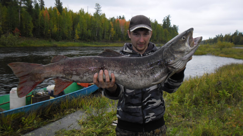 Предложение: Рыбалка, охота в Красноярском крае.