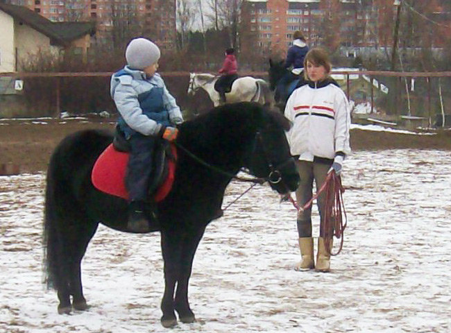 Предложение: Верховая езда Москва