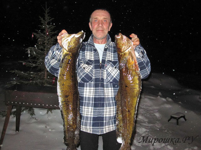 Предложение: Семейный отдых, зимняя рыбалка в Карелии