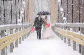 Предложение: Нежный свадебный  снег