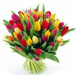 Предложение: Тюльпаны к 8 марта в розницу с доставкой