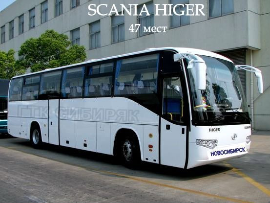 Предложение: Автоуслуги: м/автобусы, автобусы до 57м.
